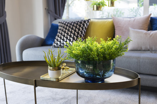 green plant vase on table with colorful cushion on gray sofa