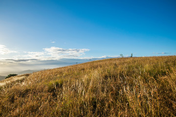 Fototapeta premium Table Top Mountain, Toowoomba 