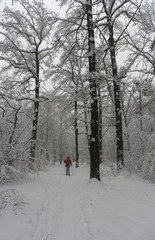 A man in red clothes walks along a snow-covered park along the path. Winter landscape. A skier is doing sports.