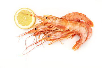 Overhead photo of raw shrimps on white, with a lemon slice, with copy space
