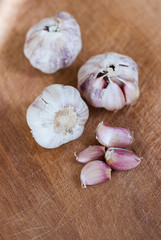 garlic on wood  