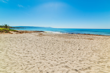 Fototapeta na wymiar Sandy shore in Le Bombarde beach in Alghero