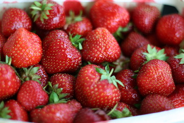 Strawberries, Erdbeeren