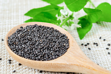 Lemon basil seeds in wooden spoon.