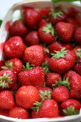 Strawberries, Erdbeeren