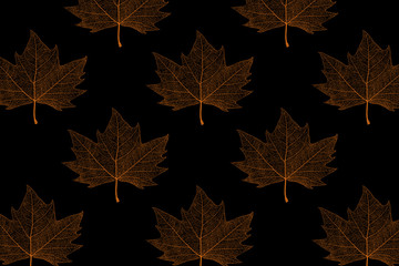 Template with maple leaf on Halloween