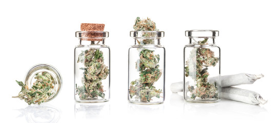Medical marijuana isolated on white background. Therapeutic and medicinal cannabis