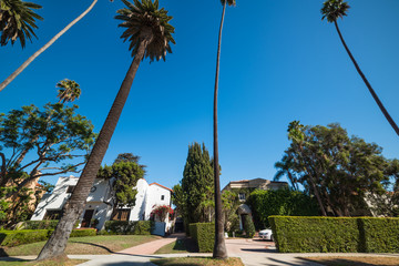 Fototapeta premium Luxury neighborhood in Los Angeles