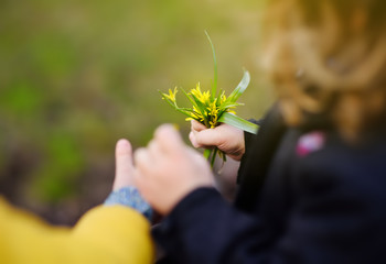 Little boy gives a small bouquet of yellow wild flowers to a girl