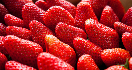 Fresh Summer Berry Fruits -  Ripe Red Healthy Strawberry Strawberries  - macro, closeup. © JoannaTkaczuk