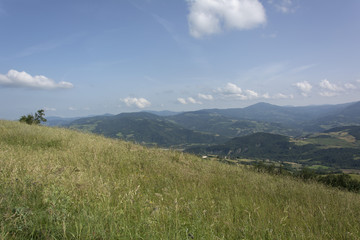 Panorama