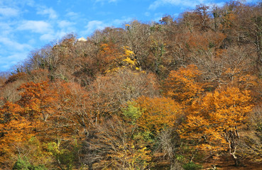 Fototapeta premium Landscape near Gelati village. Kutaisi district. Imereti Province. Georgia