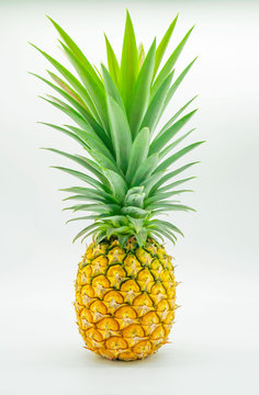 yellow and green pineapple, fruit , isolated on white background .