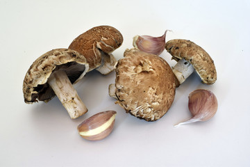 Mushrooms and garlic
