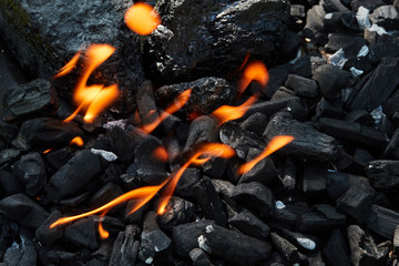 Orange wild fire burning on black coal and ash, prepared for barbecue grill