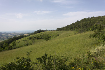 Fototapeta premium Panorama