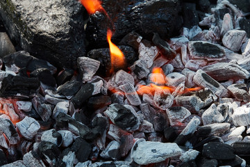 Orange wild fire burning on black coal and ash, prepared for barbecue grill