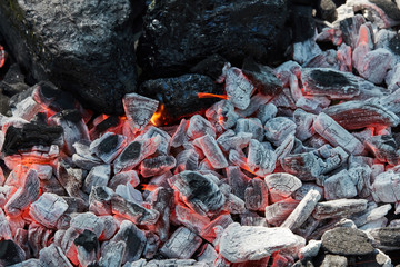 Orange wild fire burning on black coal and ash, prepared for barbecue grill