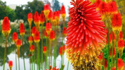 Fall in South Australia