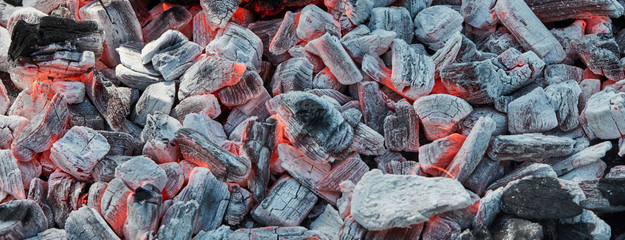 Orange wild fire burning on black coal and ash, prepared for barbecue grill