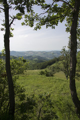 Obraz premium Panorama 