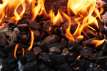 Orange wild fire burning on black coal and ash, prepared for barbecue grill