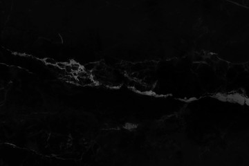 Abstract black marble background with natural motifs.