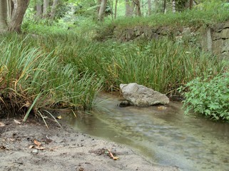 きれいな川の風景