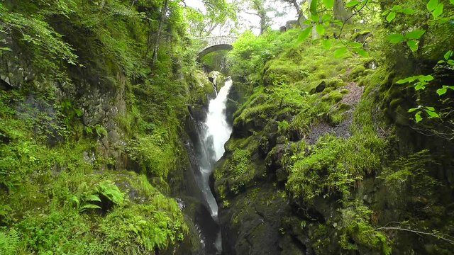Aira Force is probably the most famous of all the waterfalls within the Lake District National Park in England.