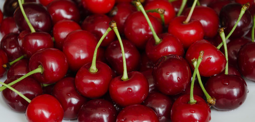 red cherry blossom, cherry nasyp, natural food