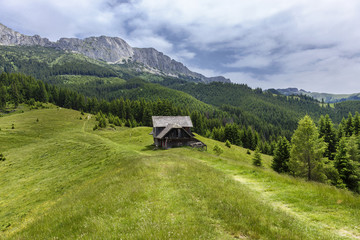 Fototapeta premium Daylight sunny view to landscape with green meadow and mountains in Romania