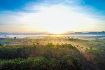 Obraz premium Landscape morning sunrise tropical forest with fog