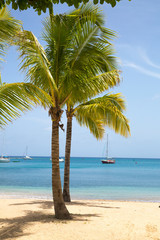 Fototapeta na wymiar Antigua, Caribbean islands. English Harbour view with Galeon beach, sun beds and umbrellas