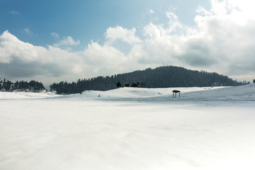 Snow field and forest under clouds