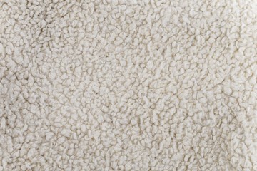 Wool texture