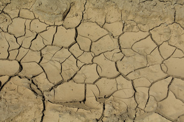 terre craquelée à cause de la sécheresse