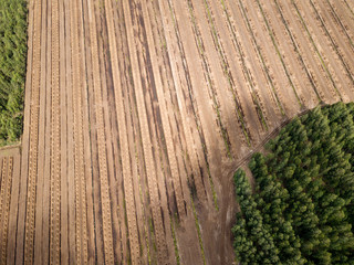 drone image. aerial view of rural area with fields of turf development