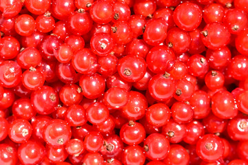 Ripe and washed red currants. View from above on bright sunlight.