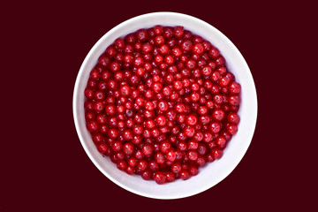White bowl with ripe and washed red currants isolated on red background. View from above on bright sunlight.