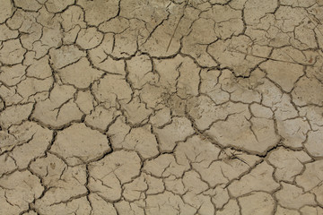 terre craquelée à cause de la sécheresse