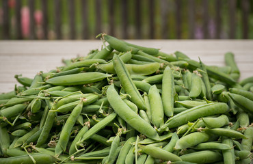 Fresh harvested peas pods from my garden on a wooden table with natural light