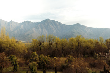 Sunset on valley of Himalaya