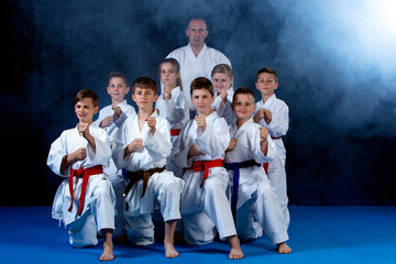 young, beautiful, successful multi ethical karate kids in karate position. © FS-Stock