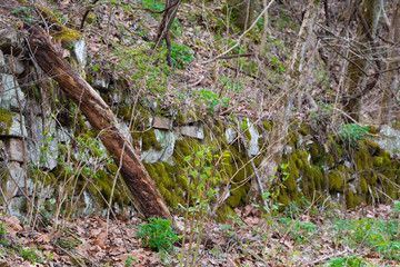 A stone wall with moss against a hill with fallen leaves around.