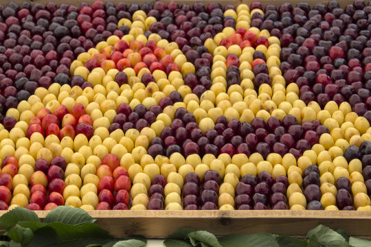 Colorful cherries, arranged as an Orthodox church. Kyustendil, Bulgaria.
