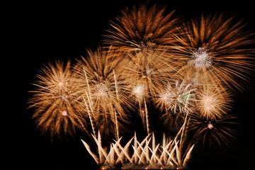 Festive colorful fireworks on night sky background. Celebratory holiday