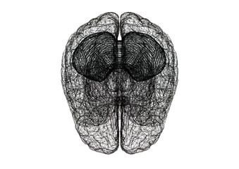 Naklejka premium Brain Sketch – Blueprint - isolated