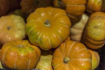 verdura frutas abobora