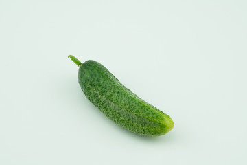 Fresh harvested homegrown cucumber from my garden isolated  on white background