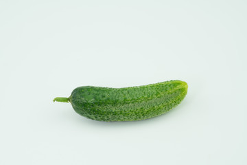 Fresh harvested homegrown cucumber from my garden isolated  on white background